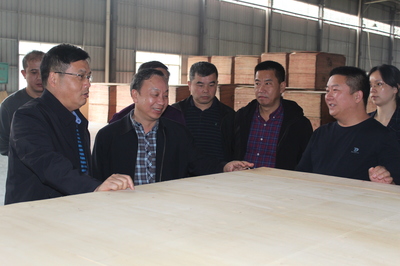 市林業局赴貴港、柳州等地開展木材精深加工考察及招商引資活動