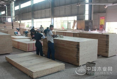 好板材,格綠造--中國木業網走進福建格綠木業