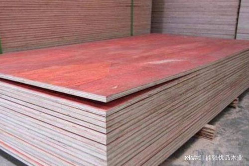 能強優品木業出口品質建筑模板,堅固耐用備受青睞