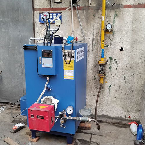 立浦熱能120kg燃氣蒸汽發(fā)生器 食品加工配套 工業(yè)蒸汽燃氣鍋爐lss0.12 0.7 y.q 谷瀑環(huán)保